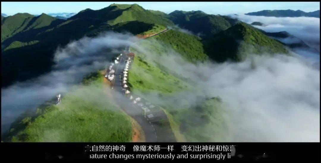 救援水管工